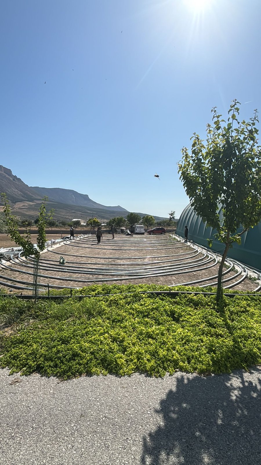 Carpa Agrícola en Almería · Preparación del terreno