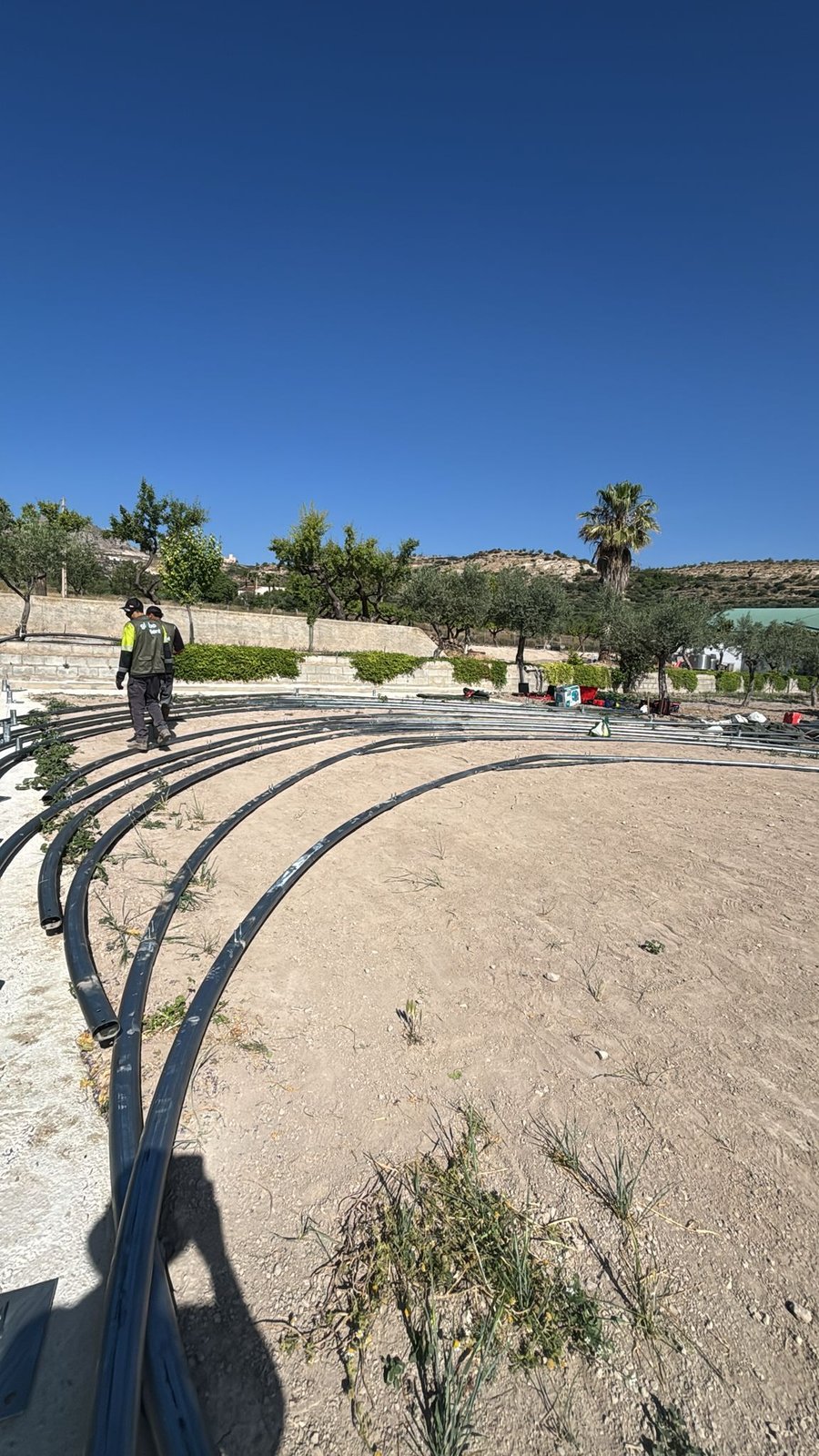 Carpa Agrícola en Almería · Preparación del terreno