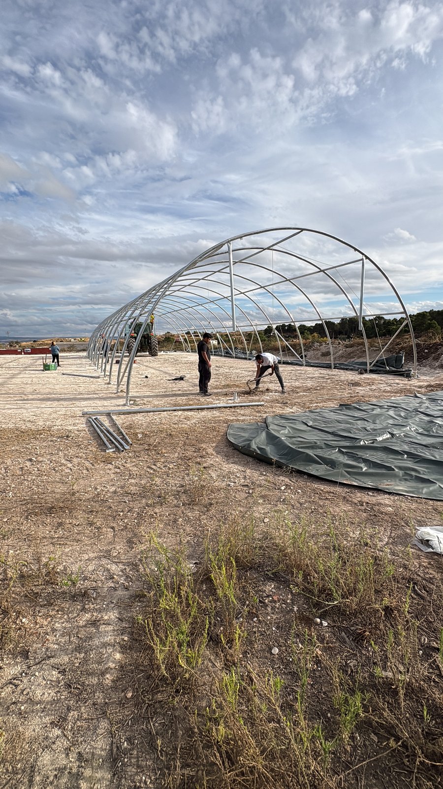 Carpa Agrícola en Brea de Tajo