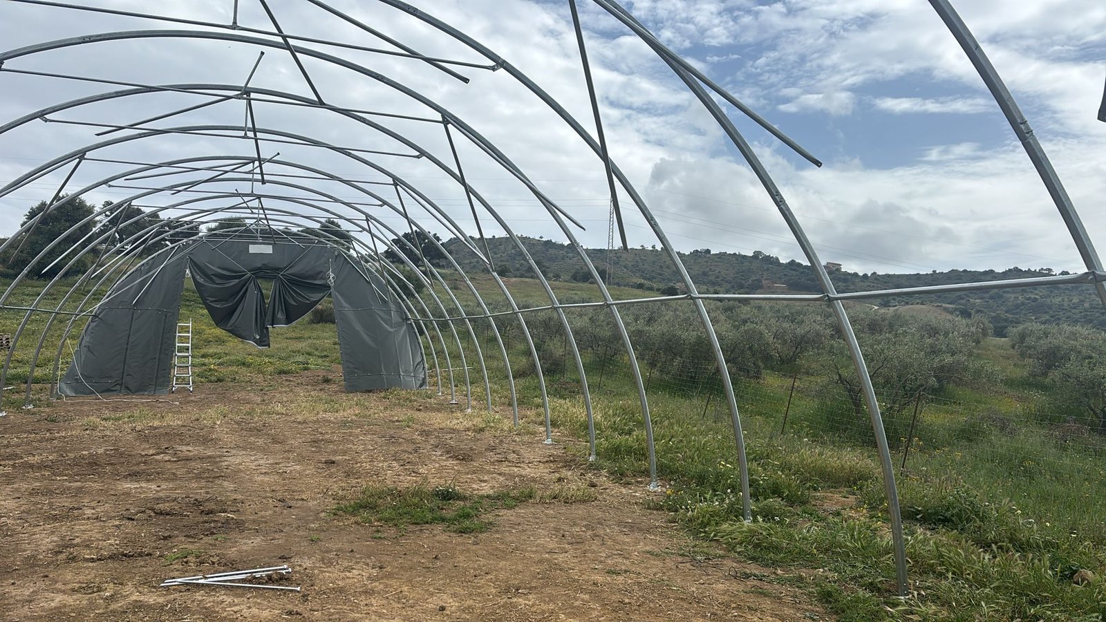 Carpa Agrícola en Coín