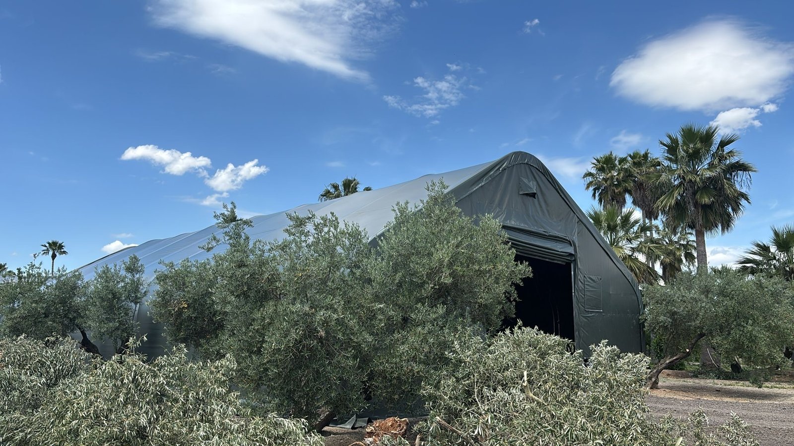 Carpa Almacén en Jaén